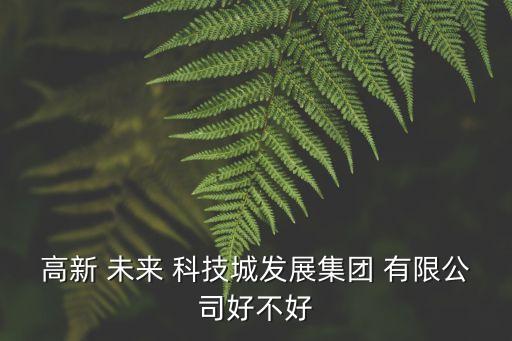 成都未知未來(lái)科技有限公司,成都高新未來(lái)科技城發(fā)展集團(tuán)有限公司