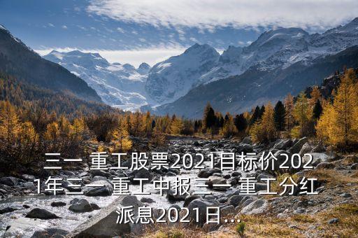 三一 重工股票2021目標(biāo)價(jià)2021年三一 重工中報(bào)三一 重工分紅 派息2021日...