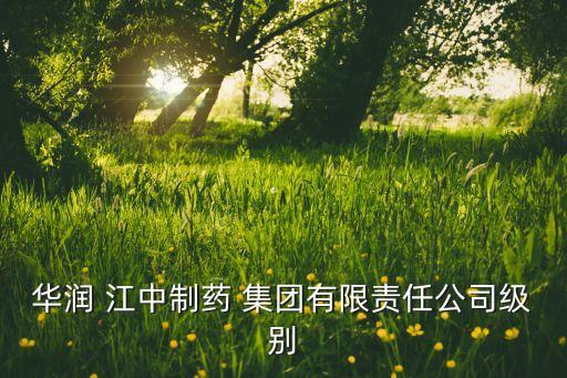 華潤 江中制藥 集團(tuán)有限責(zé)任公司級別