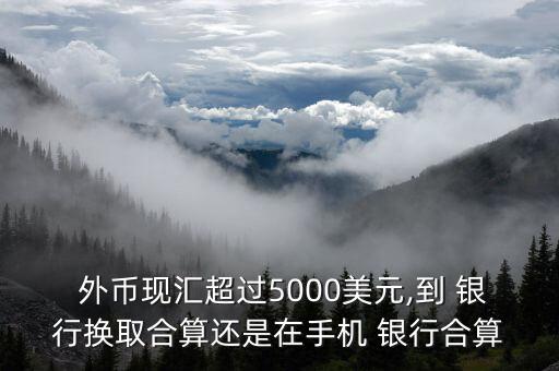  外幣現(xiàn)匯超過5000美元,到 銀行換取合算還是在手機(jī) 銀行合算