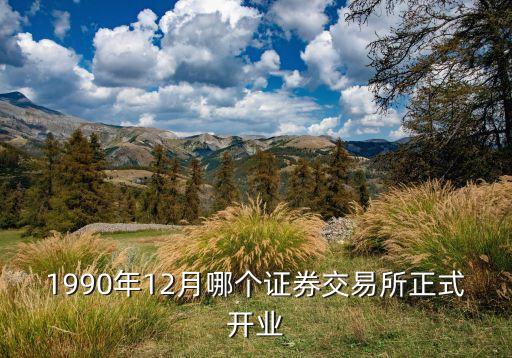 1990年12月哪個(gè)證券交易所正式開業(yè)