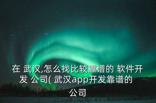 在 武漢,怎么找比較靠譜的 軟件開發(fā) 公司( 武漢app開發(fā)靠譜的 公司