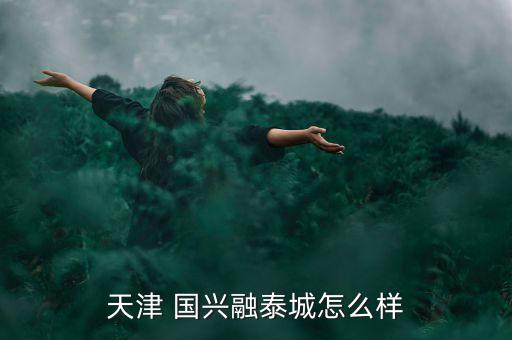 天津 國興融泰城怎么樣