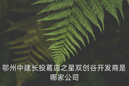 鄂州中建長(zhǎng)投葛店之星雙創(chuàng)谷開(kāi)發(fā)商是哪家公司