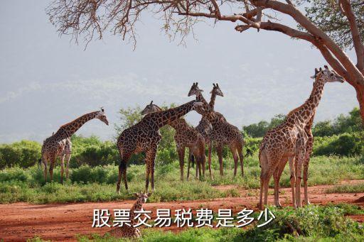 賣股票交稅,原始股交易需交多少稅費