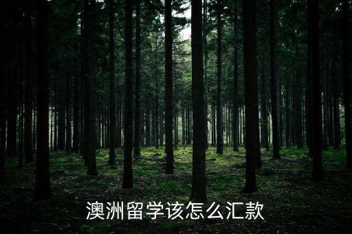 澳洲留學(xué)該怎么匯款