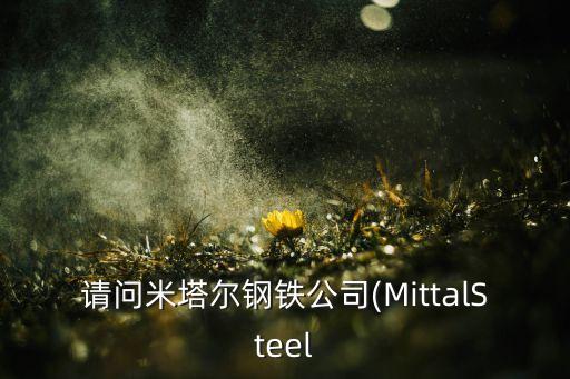 請(qǐng)問米塔爾鋼鐵公司(MittalSteel