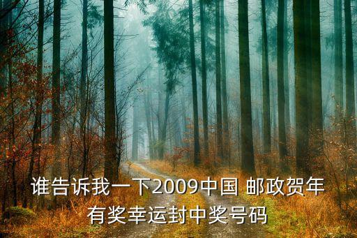 誰告訴我一下2009中國 郵政賀年有獎幸運封中獎號碼