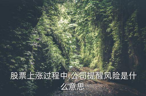  股票上漲過程中,公司提醒風險是什么意思