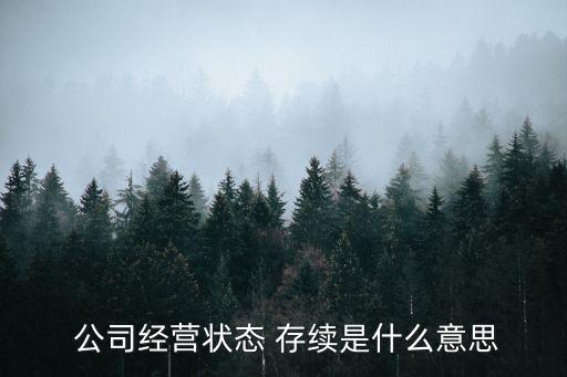  公司經(jīng)營狀態(tài) 存續(xù)是什么意思