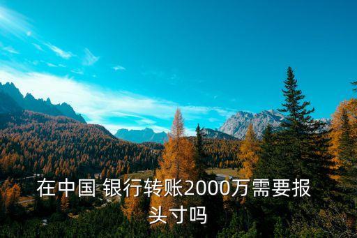 在中國(guó) 銀行轉(zhuǎn)賬2000萬(wàn)需要報(bào) 頭寸嗎