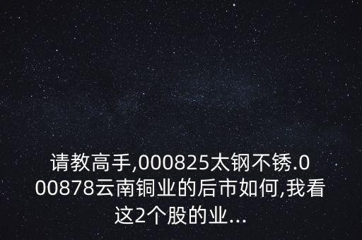 請教高手,000825太鋼不銹.000878云南銅業(yè)的后市如何,我看這2個股的業(yè)...