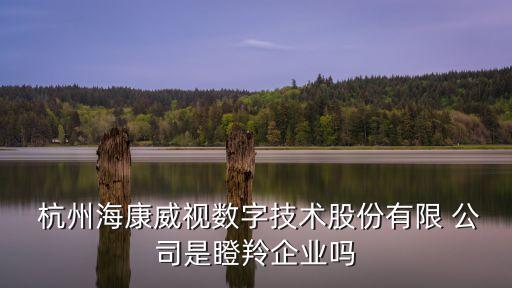  杭州?？低晹?shù)字技術(shù)股份有限 公司是瞪羚企業(yè)嗎