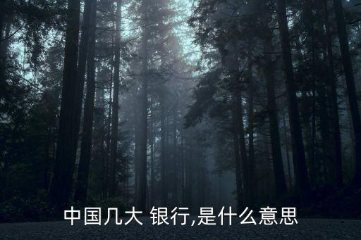 中國幾大 銀行,是什么意思