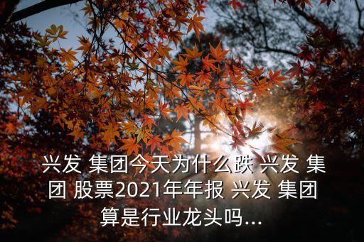  興發(fā) 集團(tuán)今天為什么跌 興發(fā) 集團(tuán) 股票2021年年報 興發(fā) 集團(tuán)算是行業(yè)龍頭嗎...