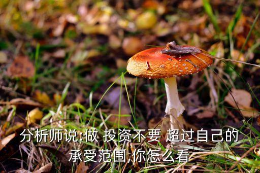 分析師說:做 投資不要 超過自己的承受范圍,你怎么看