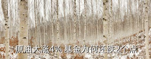  原油大漲4% 基金為何還跌2個(gè)點(diǎn)