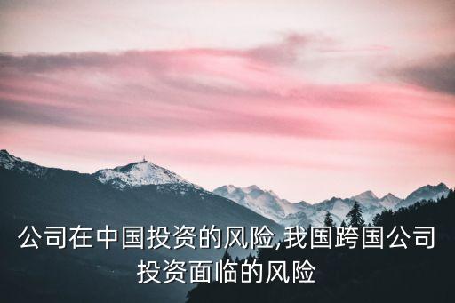 跨國(guó)公司在中國(guó)投資的風(fēng)險(xiǎn),我國(guó)跨國(guó)公司投資面臨的風(fēng)險(xiǎn)