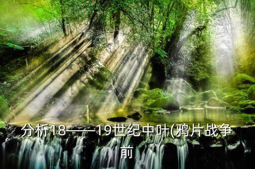 分析18——19世紀(jì)中葉(鴉片戰(zhàn)爭(zhēng)前