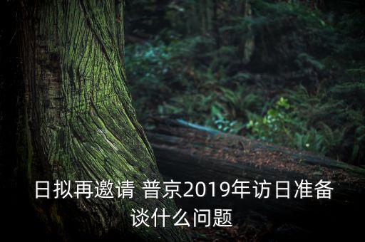 日擬再邀請 普京2019年訪日準備談什么問題