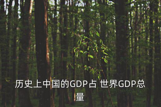 中國gdp占世界,中國GDP占世界經(jīng)濟比重上升至世界第幾大經(jīng)濟體