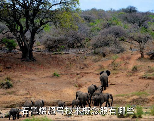 與石墨烯有關(guān)的股票,石墨烯概念股票一覽表