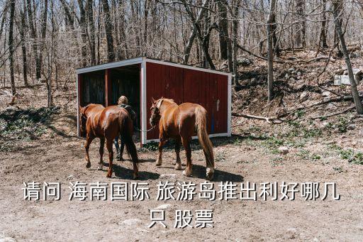 請問 海南國際 旅游島推出利好哪幾只 股票