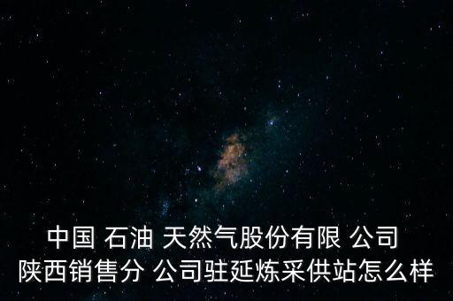 中國 石油 天然氣股份有限 公司 陜西銷售分 公司駐延煉采供站怎么樣