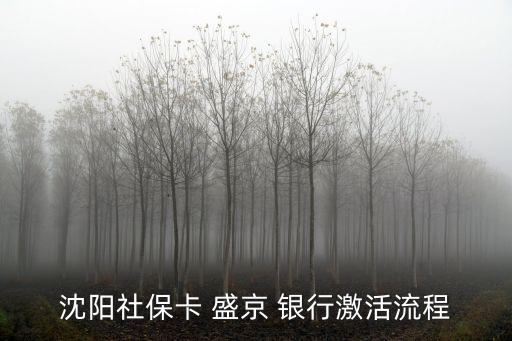 沈陽社保卡 盛京 銀行激活流程