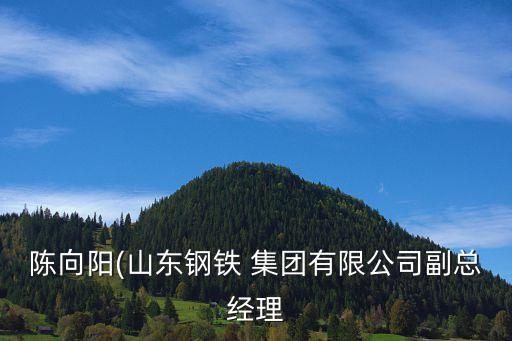 陳向陽(山東鋼鐵 集團有限公司副總經(jīng)理