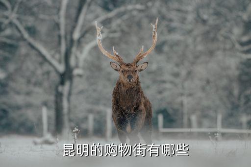 昆明的購物街有哪些