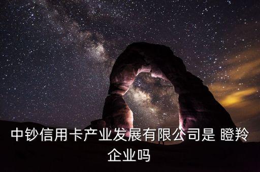 銀行瞪羚協(xié)議,長(zhǎng)安銀行瞪羚谷支行