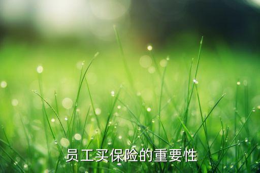  員工買(mǎi)保險(xiǎn)的重要性