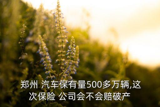 鄭州鑫茂汽車擔(dān)保公司怎么樣