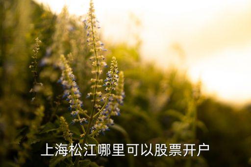 上海松江哪里可以股票開戶