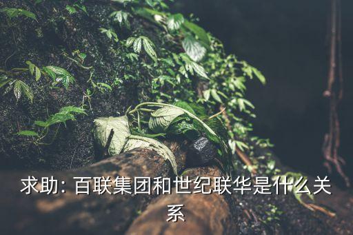 百聯(lián)置業(yè)有限公司