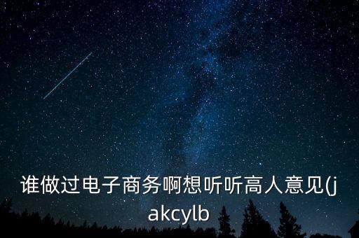 誰做過電子商務(wù)啊想聽聽高人意見(jakcylb