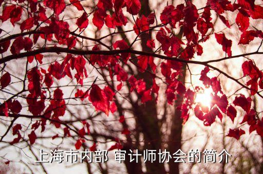  上海市內(nèi)部 審計(jì)師協(xié)會(huì)的簡(jiǎn)介