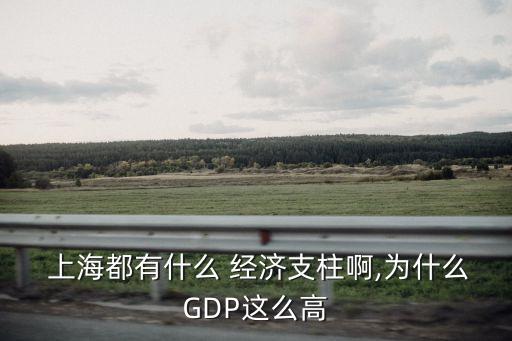  上海都有什么 經(jīng)濟支柱啊,為什么GDP這么高