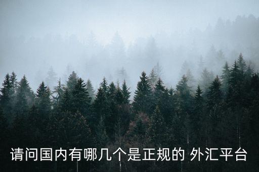 中國外匯公司排名,中國有沒有合法的外匯公司