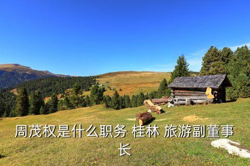 周茂權(quán)是什么職務(wù) 桂林 旅游副董事長