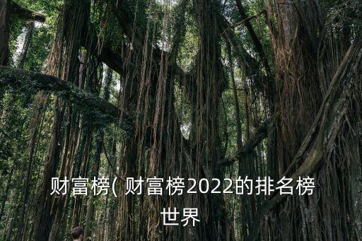  財(cái)富榜( 財(cái)富榜2022的排名榜世界