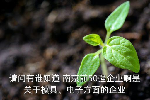 請問有誰知道 南京前50強企業(yè)啊是關于模具、電子方面的企業(yè)