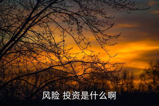 風(fēng)險(xiǎn) 投資是什么啊