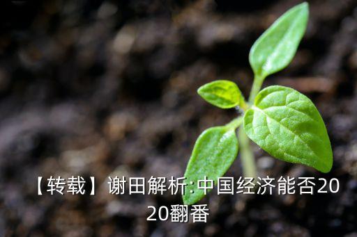 【轉(zhuǎn)載】謝田解析:中國經(jīng)濟(jì)能否2020翻番