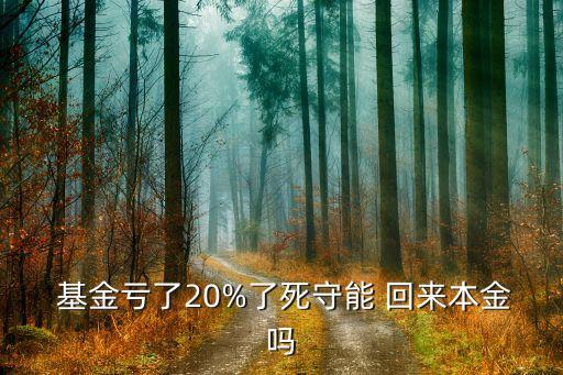  基金虧了20%了死守能 回來本金嗎