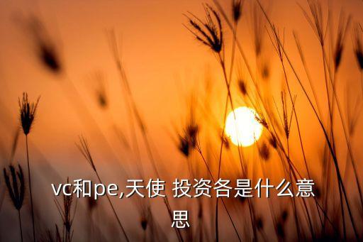  vc和pe,天使 投資各是什么意思