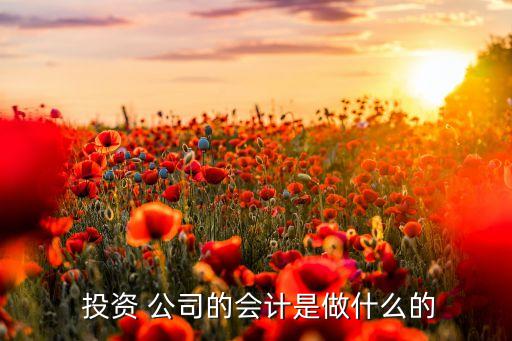  投資 公司的會(huì)計(jì)是做什么的