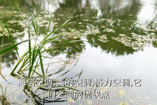 海信科龍廣州分公司,科龍海信空調(diào)哪個(gè)好