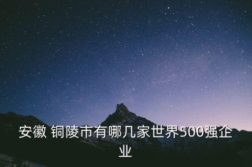 安徽 銅陵市有哪幾家世界500強(qiáng)企業(yè)